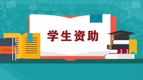 沒錢上大學？超全資助政策匯總，助你圓夢無壓力